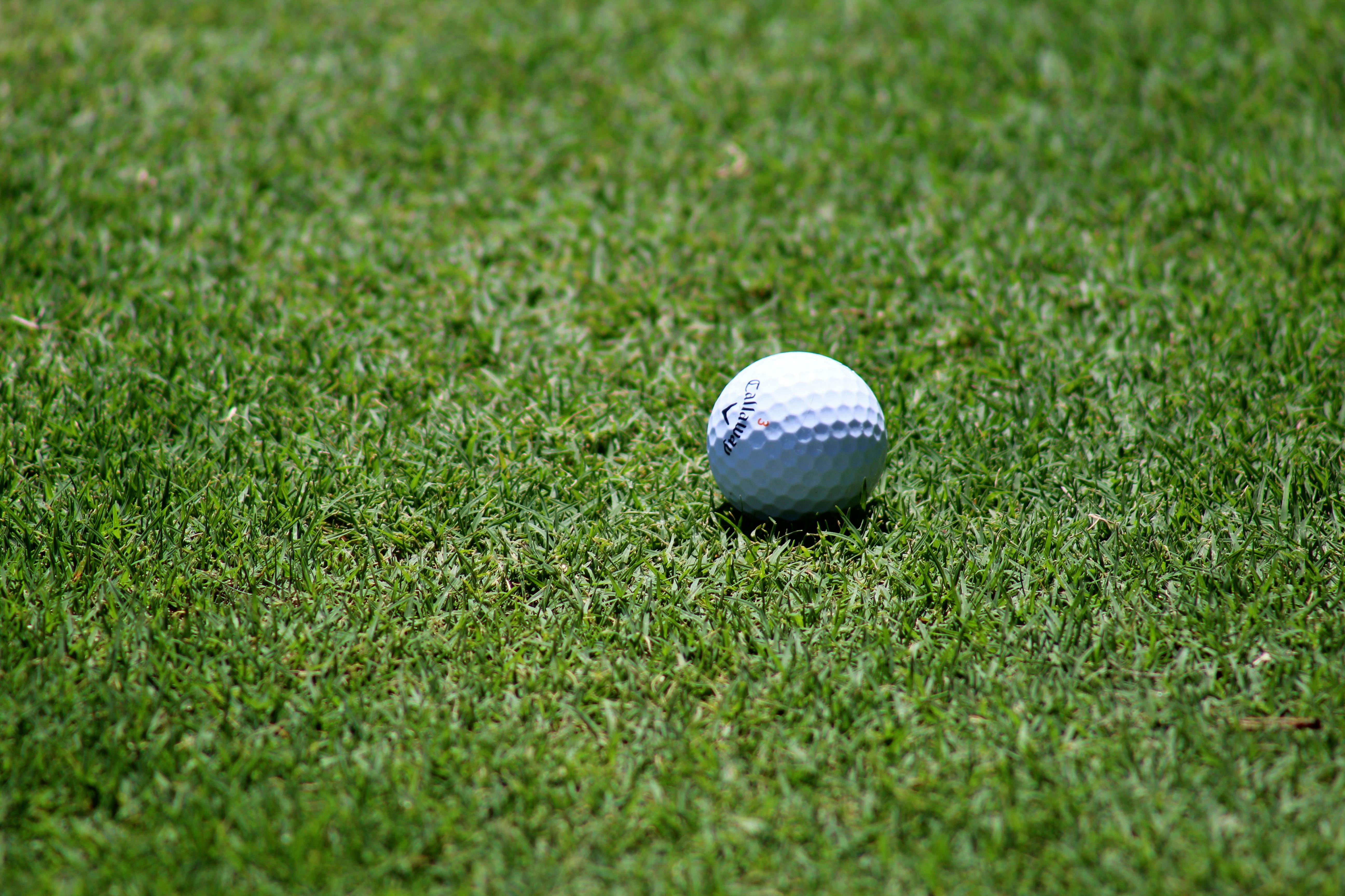 golf ball on golf course